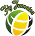 Fly Jamaica